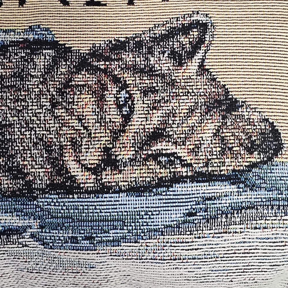 No Outfit Is Complete Without Cat Hair Pillow 12x8 Manual Woodworkers and Weave